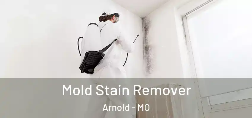  Mold Stain Remover Arnold - MO