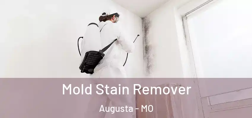  Mold Stain Remover Augusta - MO