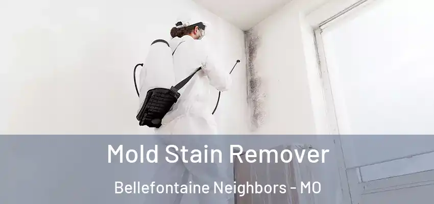  Mold Stain Remover Bellefontaine Neighbors - MO