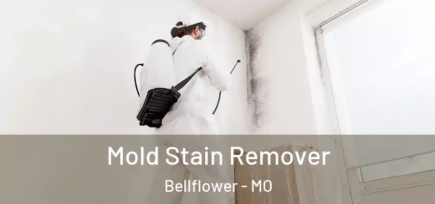  Mold Stain Remover Bellflower - MO