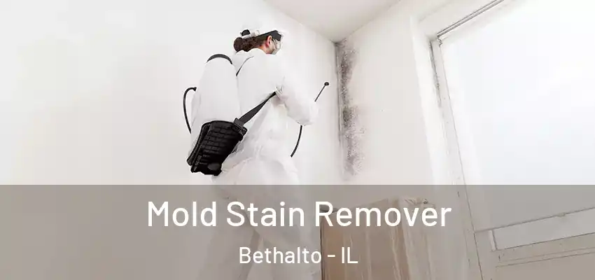  Mold Stain Remover Bethalto - IL