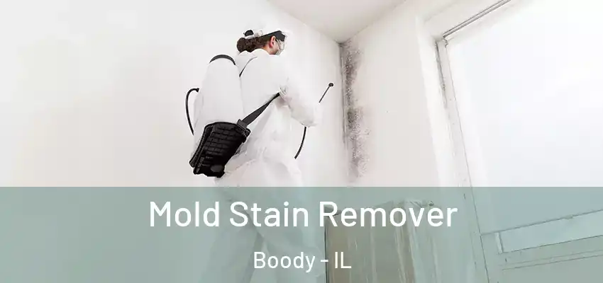  Mold Stain Remover Boody - IL