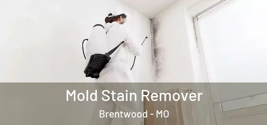 Mold Stain Remover Brentwood - MO