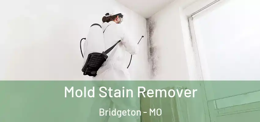  Mold Stain Remover Bridgeton - MO