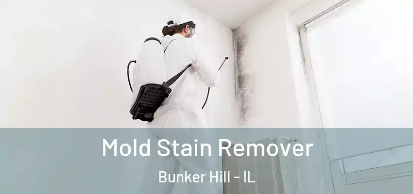  Mold Stain Remover Bunker Hill - IL
