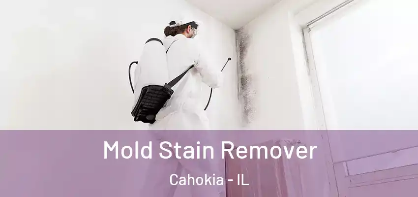  Mold Stain Remover Cahokia - IL