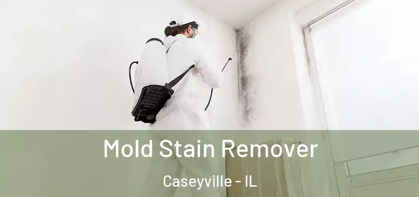  Mold Stain Remover Caseyville - IL