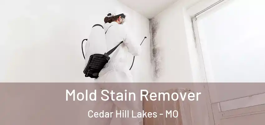  Mold Stain Remover Cedar Hill Lakes - MO