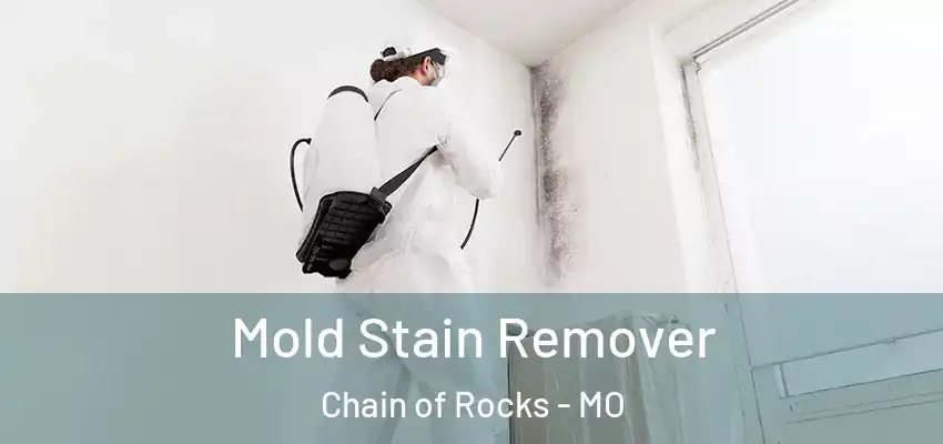  Mold Stain Remover Chain of Rocks - MO