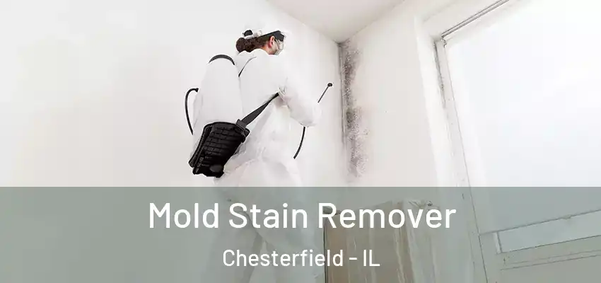  Mold Stain Remover Chesterfield - IL