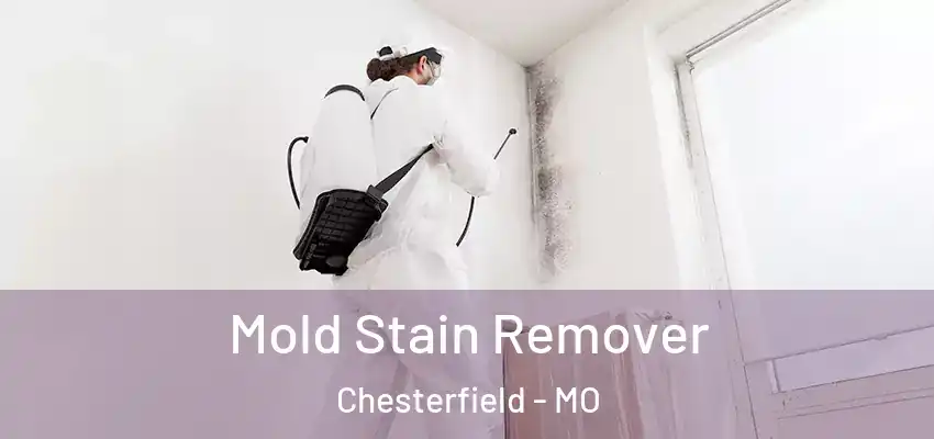  Mold Stain Remover Chesterfield - MO