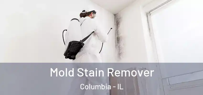  Mold Stain Remover Columbia - IL