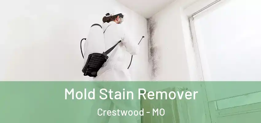  Mold Stain Remover Crestwood - MO