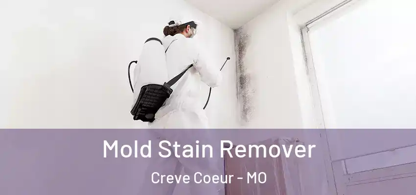  Mold Stain Remover Creve Coeur - MO
