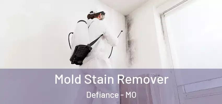  Mold Stain Remover Defiance - MO