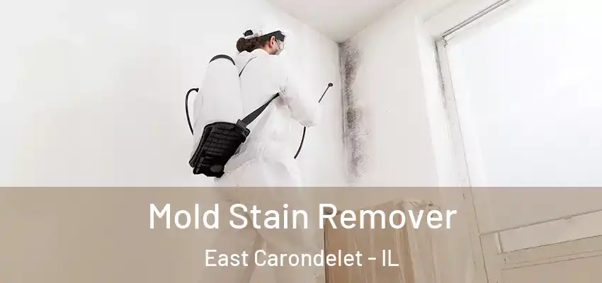  Mold Stain Remover East Carondelet - IL