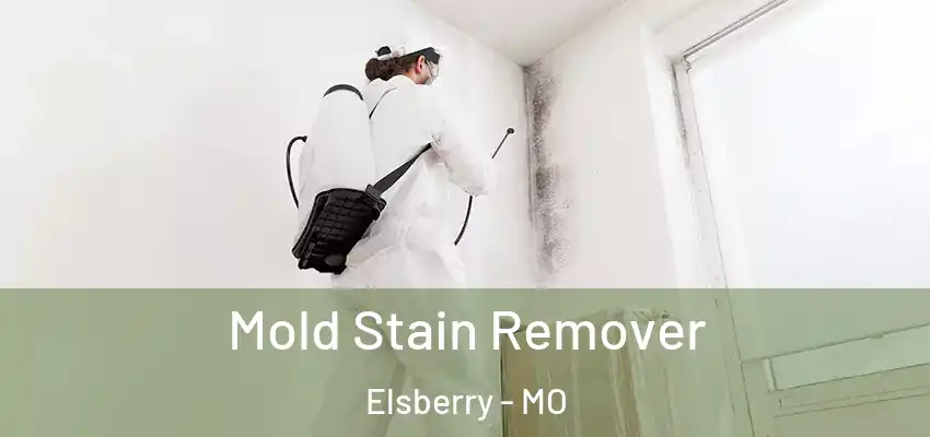  Mold Stain Remover Elsberry - MO