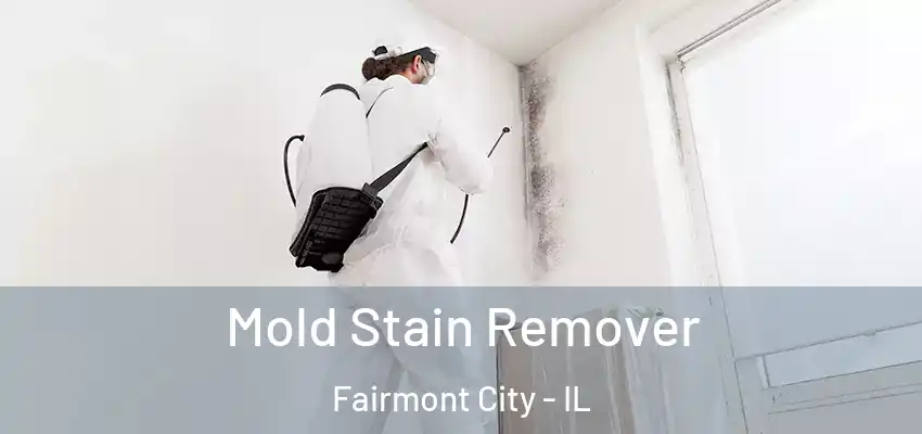 Mold Stain Remover Fairmont City - IL