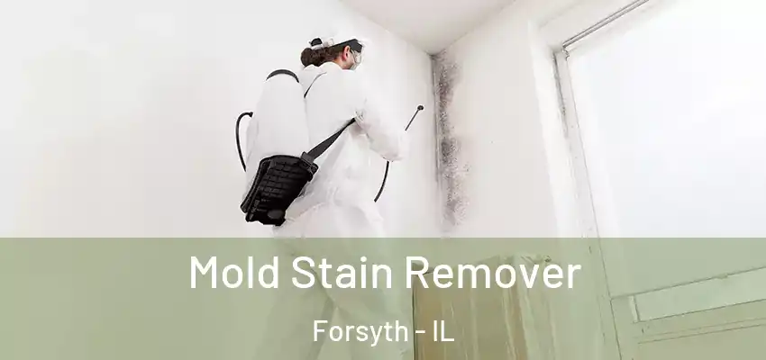  Mold Stain Remover Forsyth - IL