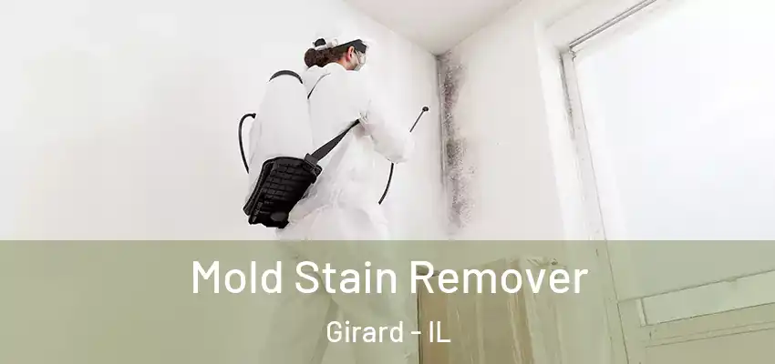  Mold Stain Remover Girard - IL