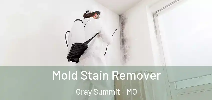 Mold Stain Remover Gray Summit - MO