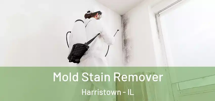  Mold Stain Remover Harristown - IL