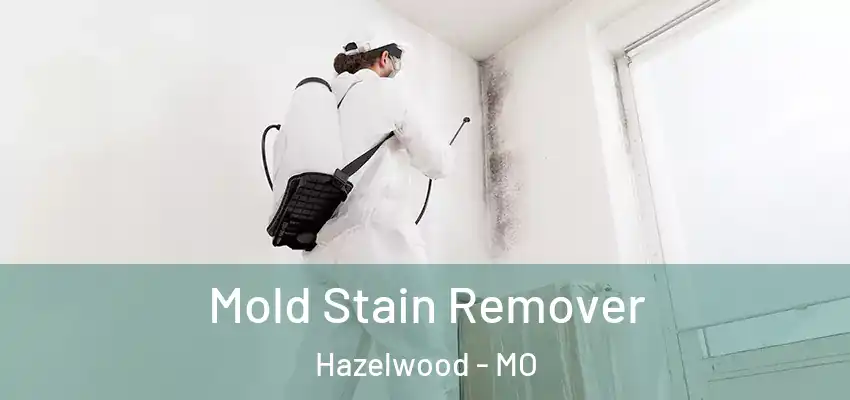  Mold Stain Remover Hazelwood - MO