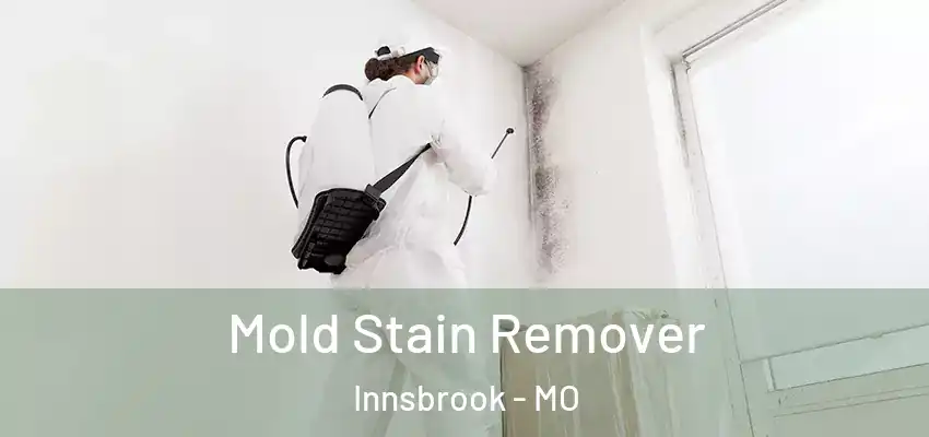  Mold Stain Remover Innsbrook - MO