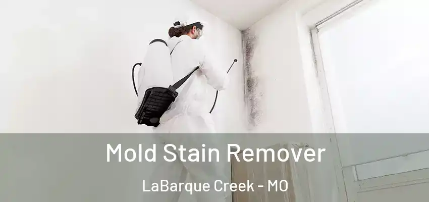  Mold Stain Remover LaBarque Creek - MO