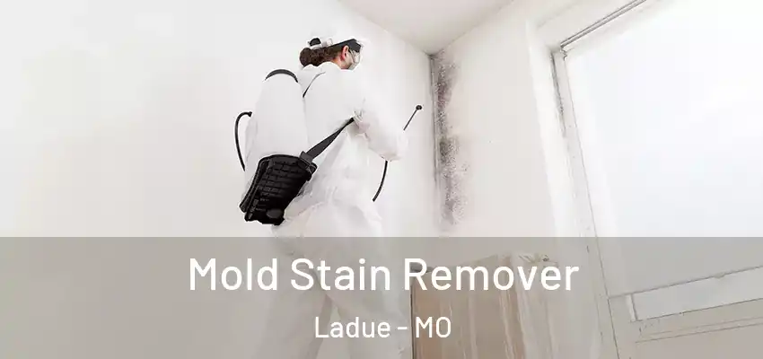  Mold Stain Remover Ladue - MO