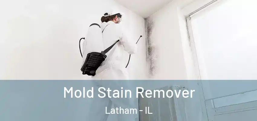  Mold Stain Remover Latham - IL