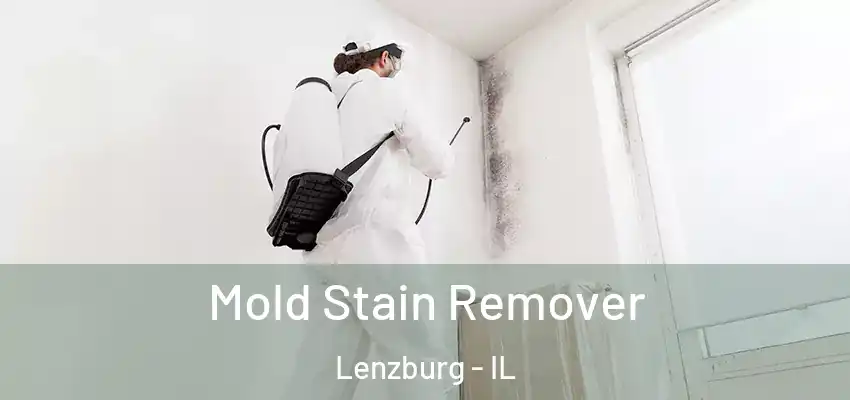  Mold Stain Remover Lenzburg - IL