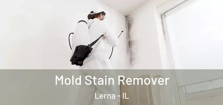Mold Stain Remover Lerna - IL