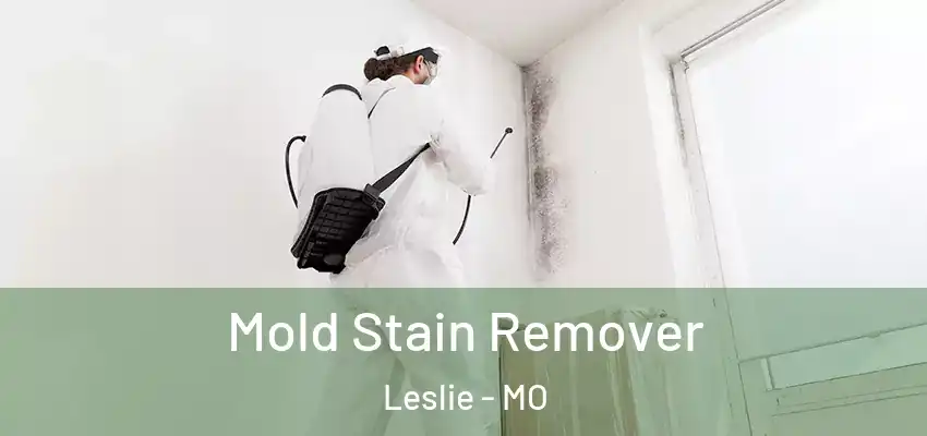  Mold Stain Remover Leslie - MO