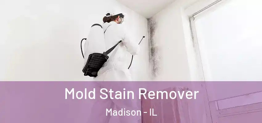  Mold Stain Remover Madison - IL