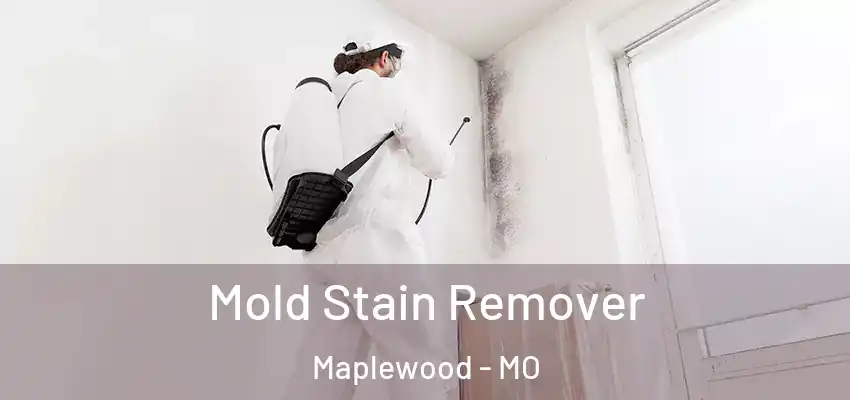  Mold Stain Remover Maplewood - MO
