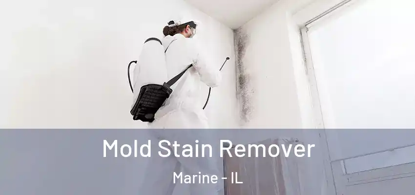  Mold Stain Remover Marine - IL