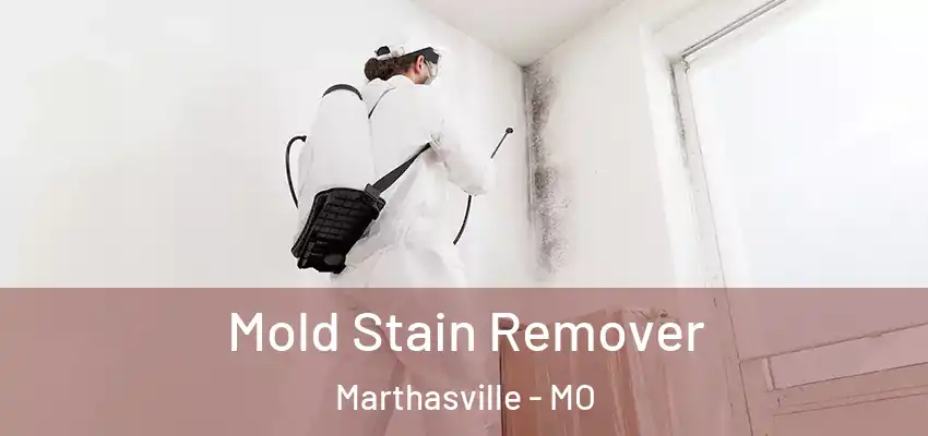  Mold Stain Remover Marthasville - MO