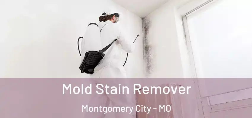  Mold Stain Remover Montgomery City - MO