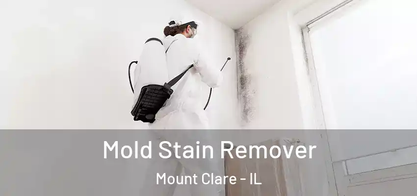  Mold Stain Remover Mount Clare - IL