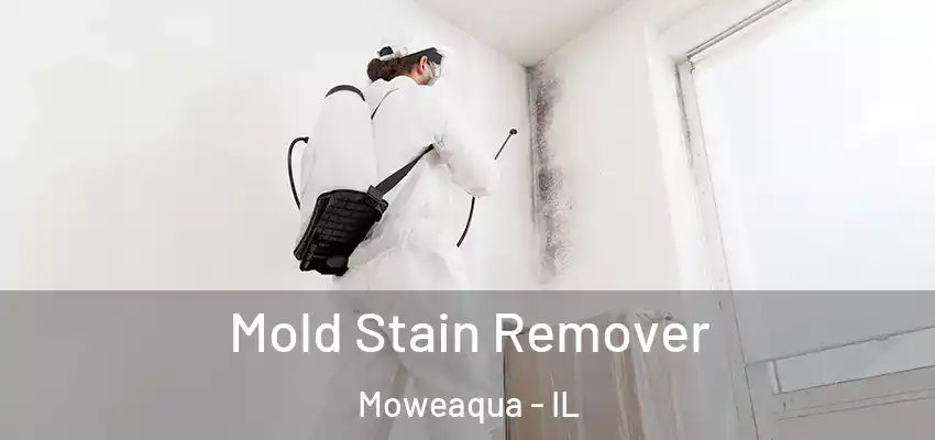  Mold Stain Remover Moweaqua - IL