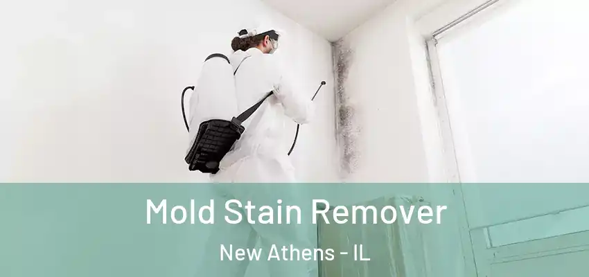  Mold Stain Remover New Athens - IL
