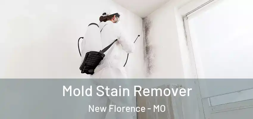  Mold Stain Remover New Florence - MO