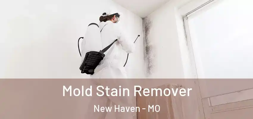  Mold Stain Remover New Haven - MO