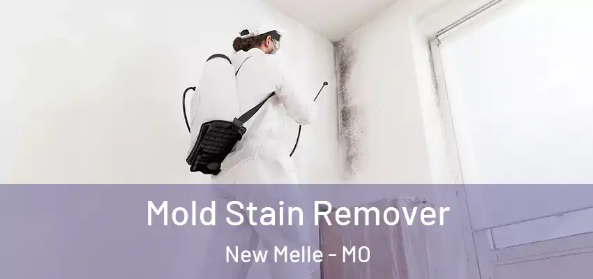  Mold Stain Remover New Melle - MO