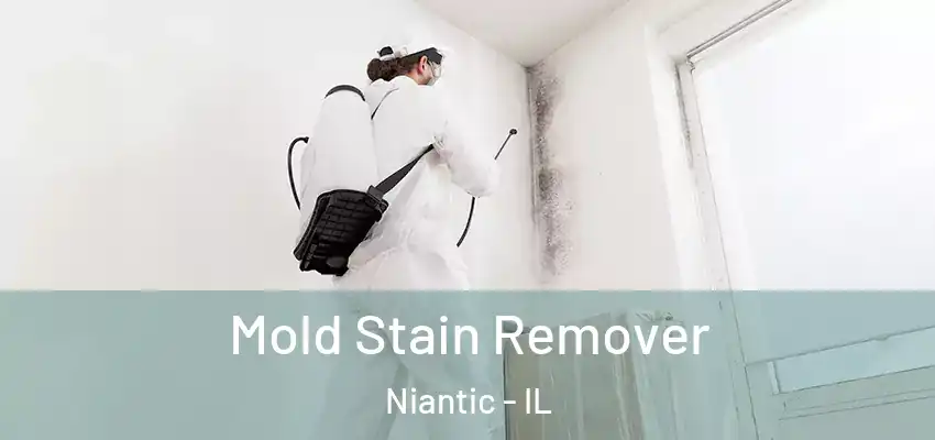  Mold Stain Remover Niantic - IL