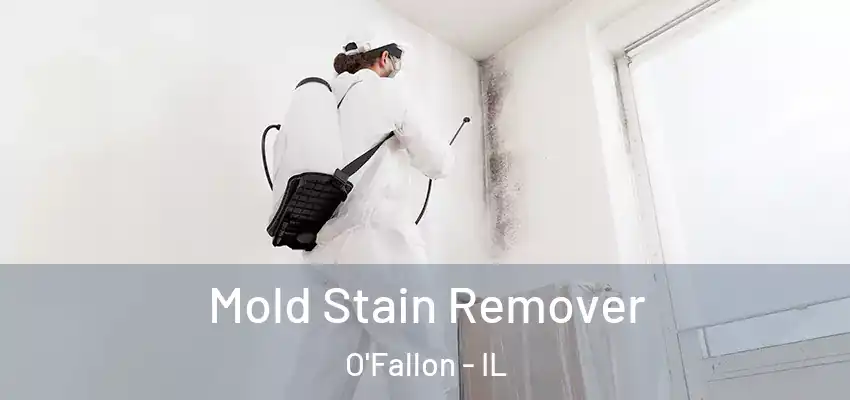  Mold Stain Remover O'Fallon - IL