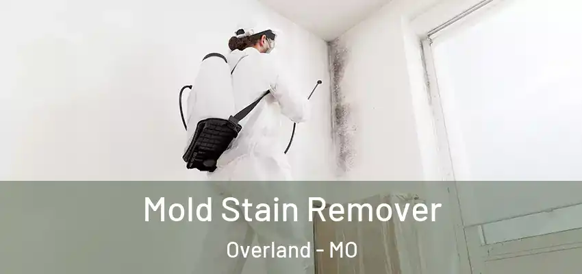  Mold Stain Remover Overland - MO