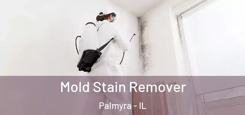  Mold Stain Remover Palmyra - IL