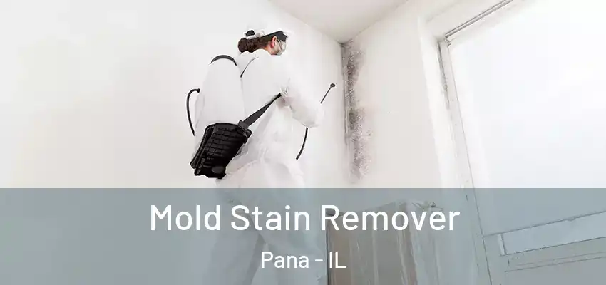  Mold Stain Remover Pana - IL